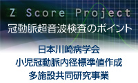 Z Score Project